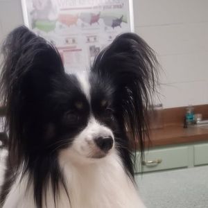 Meet your Posher, Kate